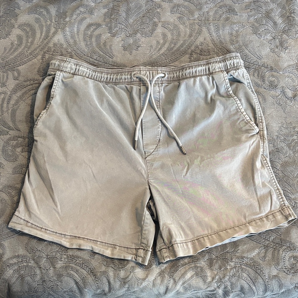 American Eagle Outfitters Tan Men Shorts
